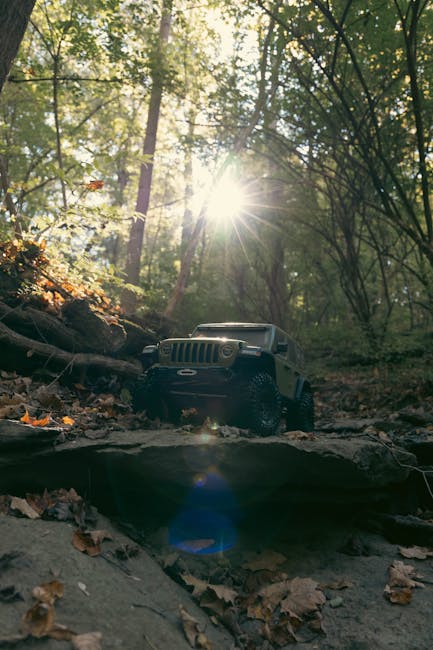 Toy Jeep in a sunlit forest captures an adventurous spirit and natural beauty.
