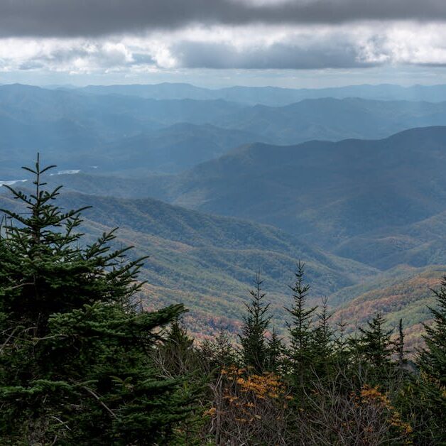 A stunning autumn landscape of the Appalachian Mountains in Georgia, showcasing vibrant foliage.
