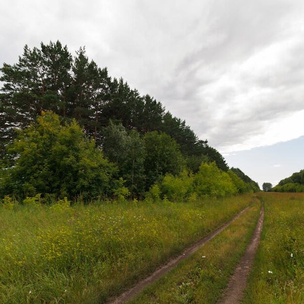 Tranquil rural landscape with a dirt path leading through lush green fields and dense trees under a cloudy sky.