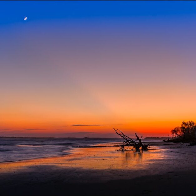 Dramatic sunset over Folly Beach, SC with driftwood and moonlit reflections.