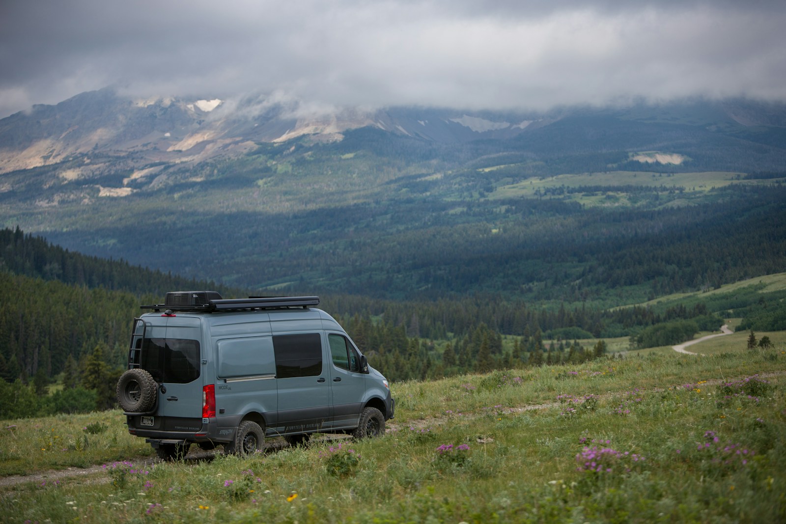 gray camper van on green grass field during daytime