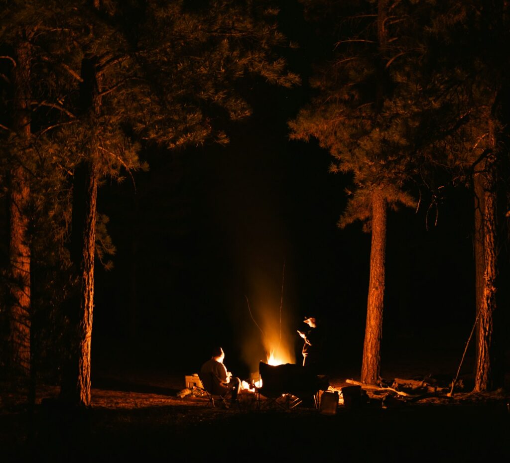 Campfire glowing brightly at night between trees