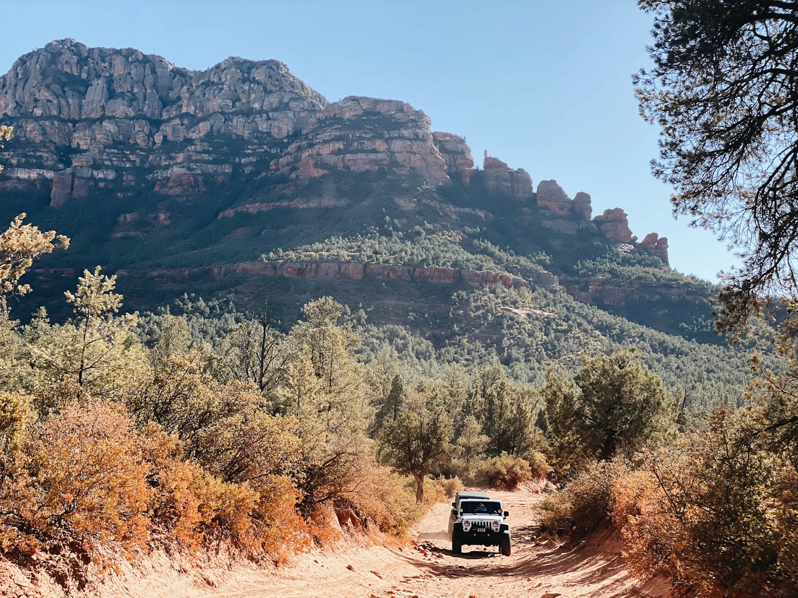 jeep on dirt road near brown and green trees during daytime