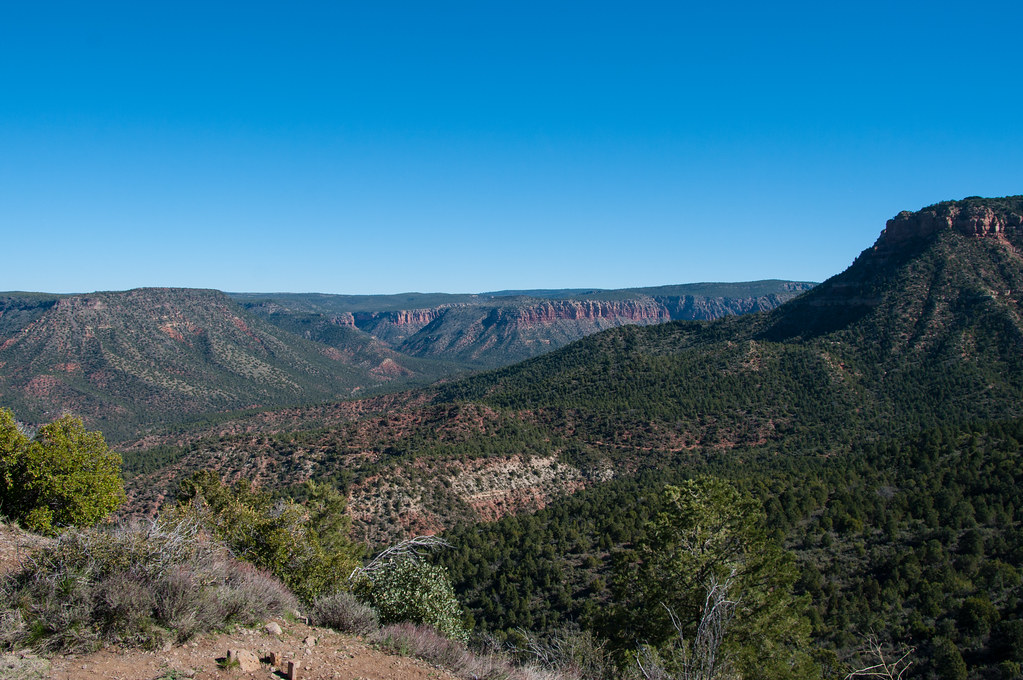 overlanding travel trends 2026 campsite in forest