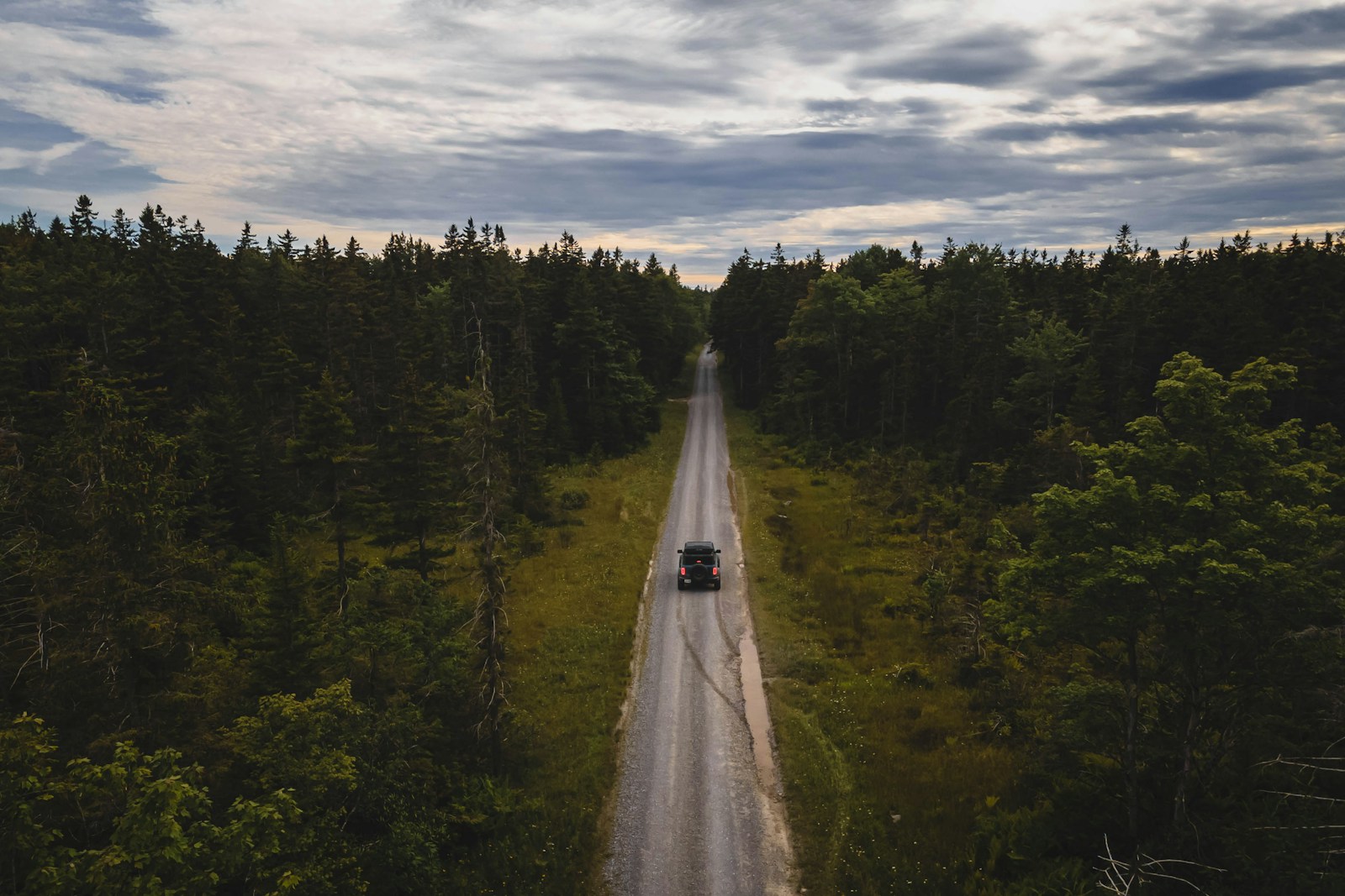 a truck driving down a dirt road in the middle of a forest SEBDR