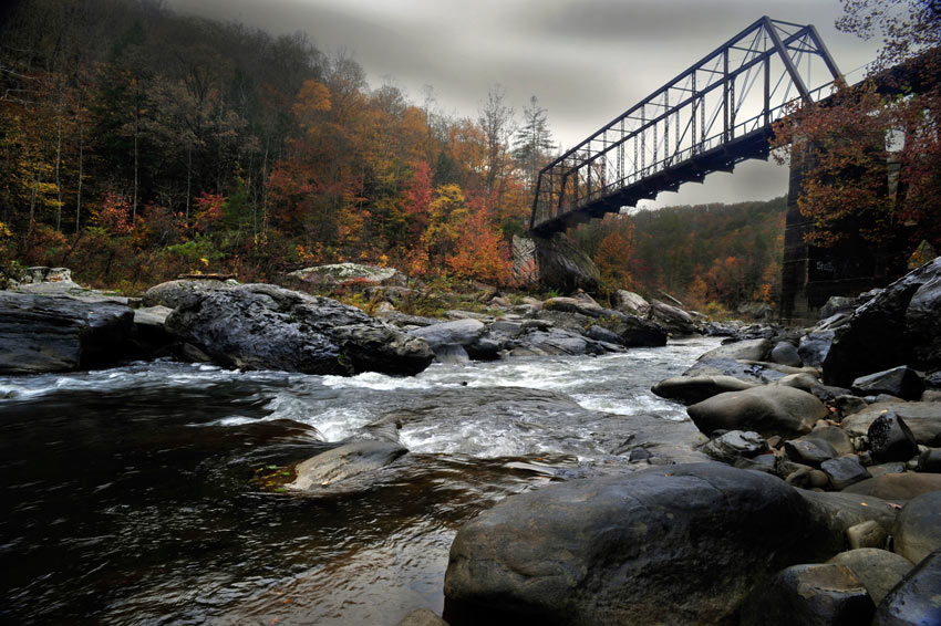 bridge view from water's edge
